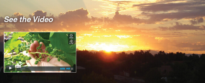 Sunrise on Ag HGVideo 01