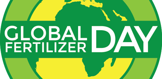 GFD Logo green without grass