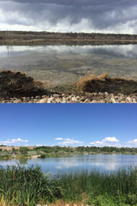 BIO ENERGIZER® Reduces Sludge at a Small Municipal Facility in Utah