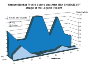BIO ENERGIZER® Reduces Sludge, BOD, and Odor—City in Illinois