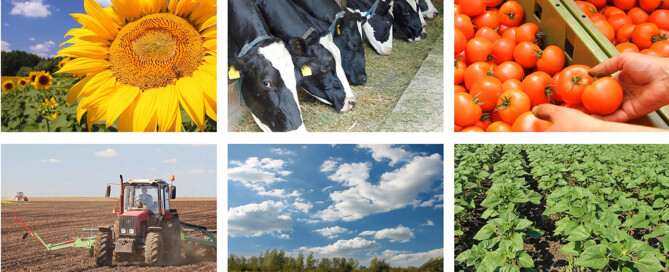 FI this week in ag 1