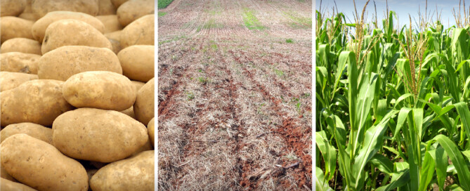 This week in ag 3