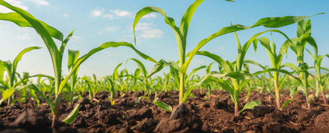 This week in ag 10
