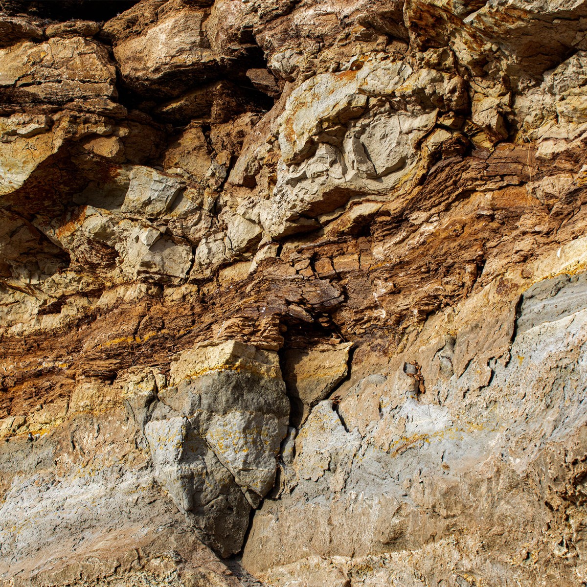 Humate Mine Huma®: Humates & Micro Carbon Technology