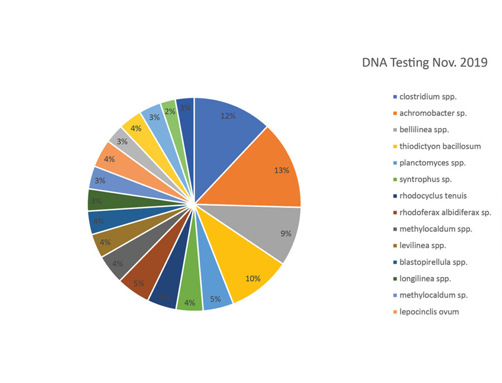 Lagoon Study Shows Sludge Layer Biologically Active and Responsive to ...