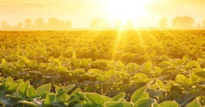 This Week in Ag #51