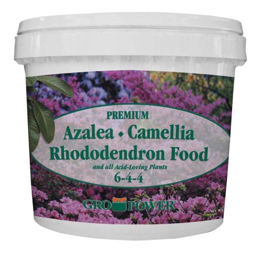 Gro Power Premium Azalea, Camellia, Rhododendron Food 6-4-4 bucket