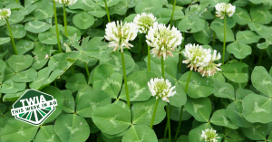 Esta semana en Ag #56