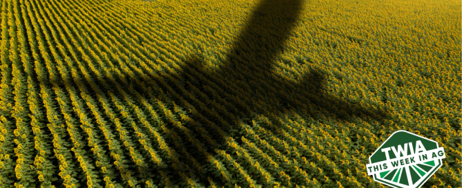 A giant shadow of a flying airplane on a field.