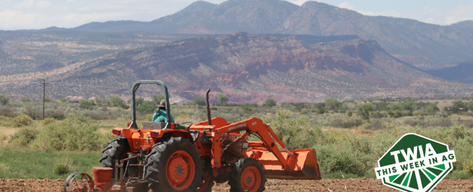 A red tractor in the corn field in New Mexico.