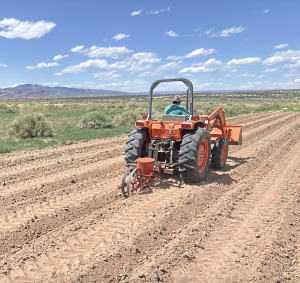 A red tractor in action on a field in New Mexico.