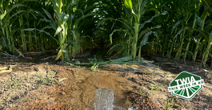 This Week in Ag #70