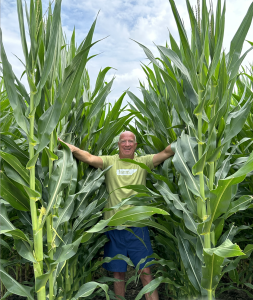 The author stands amidst towering corn crops, showcasing their phenomenal growth.
