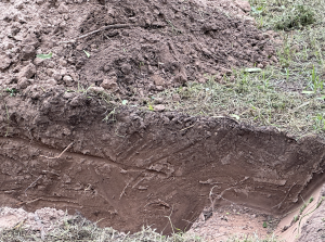 A photo showing high-quality soil of Mesquite, New Mexico