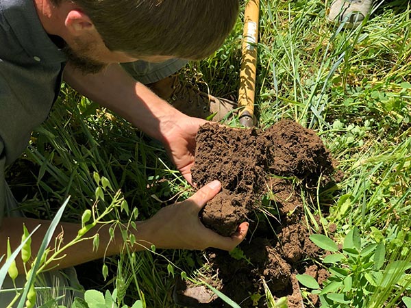 Farmer Examines Soil