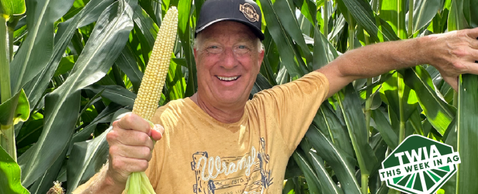 A mid shot of author Fred Nichols smiling amidst his corn plants.