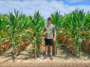 Author Fred Standing in front of somebody else's corn to show contrast with his own.