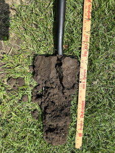 A soil sample from author's family farm in Illinois.