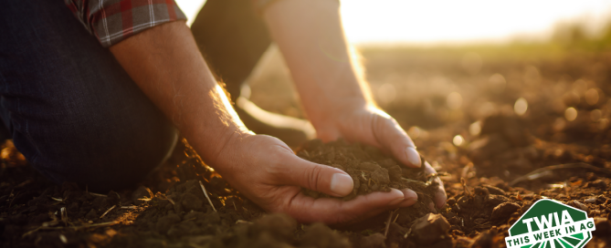 A shot showing a pair of hands holding the soil and sunlight in the back