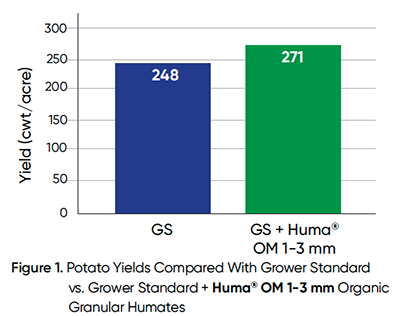 Figura 1. Rendimentos de batata comparados com o padrão de cultivo versus o padrão de cultivo + Huma® OM 1 3 mm Humates granulares orgânicos Figura 1. Rendimentos de batata comparados com o padrão de cultivo versus o padrão de cultivo + Huma® OM 1 3 mm Humates granulares orgânicos