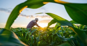 Fred Nichols’ Insights on Microbiome and the Biologicals Boom