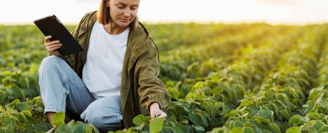 A woman examining crops in a field.