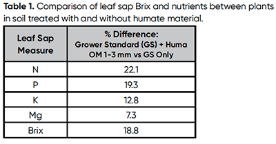 Tabla 1. Comparación de los grados Brix de la savia de la hoja y de los nutrientes entre plantas en suelo tratado con y sin material de humato