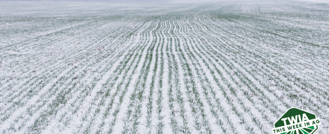 Photo of a snow covered field
