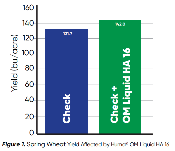 Huma® OM Liquid HA 16 con Micro Carbon Technology® mejora el rendimiento del trigo de primavera con un 60% más de retorno de la inversión - Figura 1 Figura 1. Rendimiento del trigo de primavera afectado por Huma® OM líquido HA 16