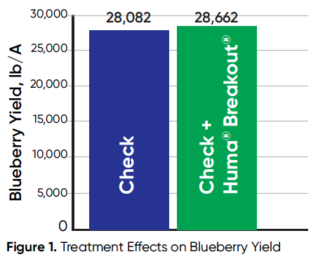 Huma® Breakout® melhora o rendimento de mirtilos no noroeste, com maior rendimento e ROI de 7:1 - Figura 1 Figura 1. Efeitos do tratamento no rendimento do mirtilo