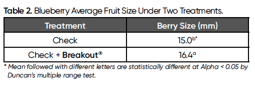 Huma® Breakout® melhora o rendimento de mirtilos no noroeste, com maior rendimento e ROI de 7:1 - Tabela 2 Tabela 2. Tamanho médio dos frutos de mirtilo em dois tratamentos.