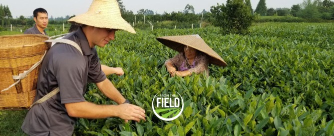 Author Nathan Smith in a field in Asia.