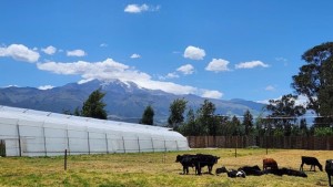 A stunning scenic view from Ecuador.