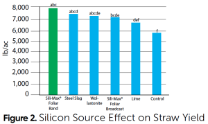 Figura 2. Efecto de la fuente de silicio en el rendimiento de la paja Figura 2. Efecto de la fuente de silicio en el rendimiento de la paja