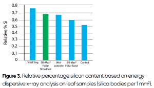 Figura 3. Contenido porcentual relativo de silicio basado en el análisis de rayos X por dispersión de energía en muestras de hojas (cuerpos de sílice por 1 mm2). Figura 3. Contenido porcentual relativo de silicio basado en el análisis de rayos X por dispersión de energía en muestras de hojas (cuerpos de sílice por 1 mm2).