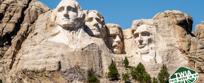 A beautiful shot of the Mount