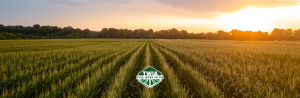 This Week In Ag #103: Short-Term Pain, Long-Term Gain?