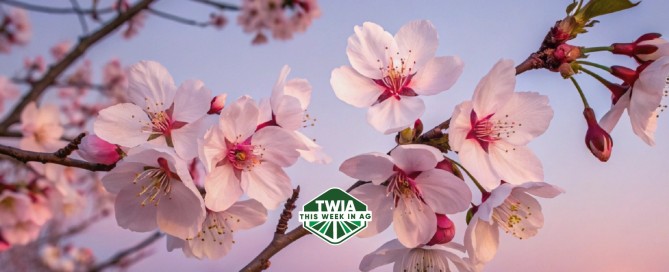 TWIA 1920x628 WebBanner