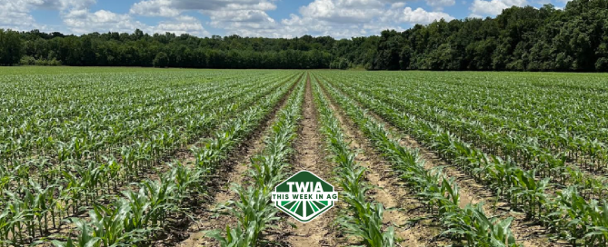 TWIA 1920x628 WebBanner