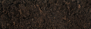 Biological Remediation of Crude Oil Contaminated Soil