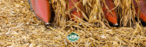 On The Brink: Farm Crisis Fears
