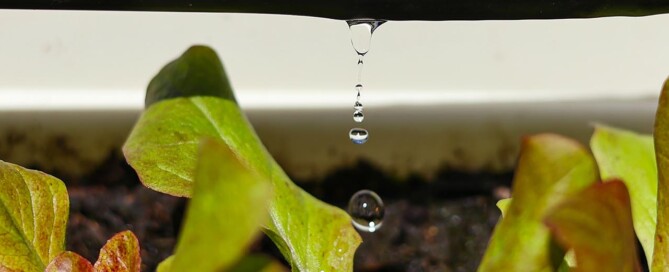 Drip irrigation
