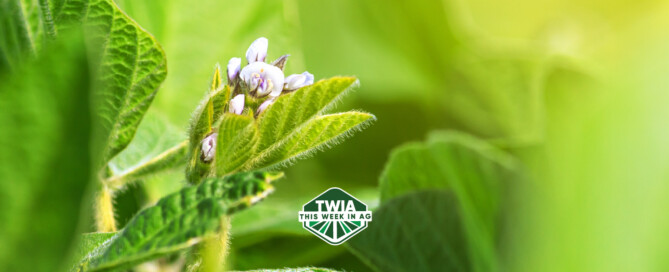 TWIA WebBanner