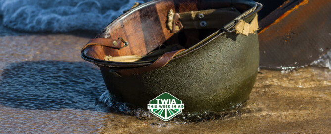 TWIA WebBanner