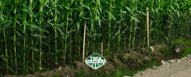 TWIA WebBanner