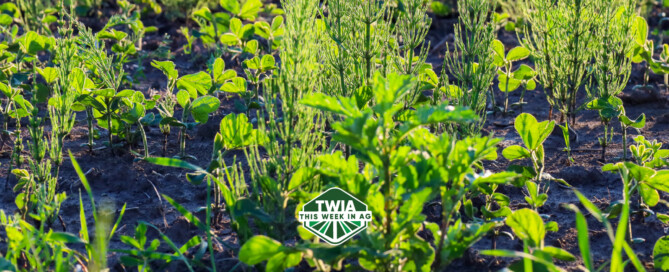 TWIA WebBanner