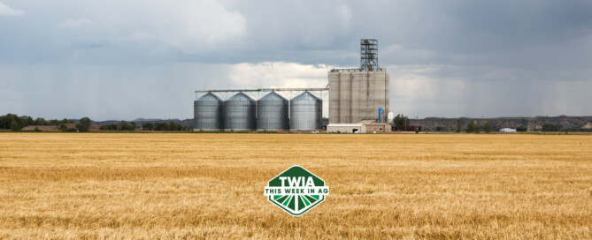 TWIA WebBanner