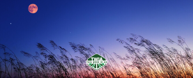 TWIA WebBanner